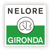 Nelore Gironda