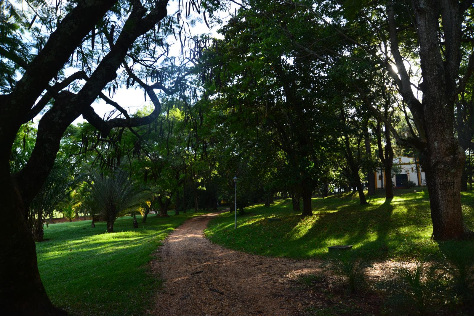 Natureza preservada na Fazenda São Luiz