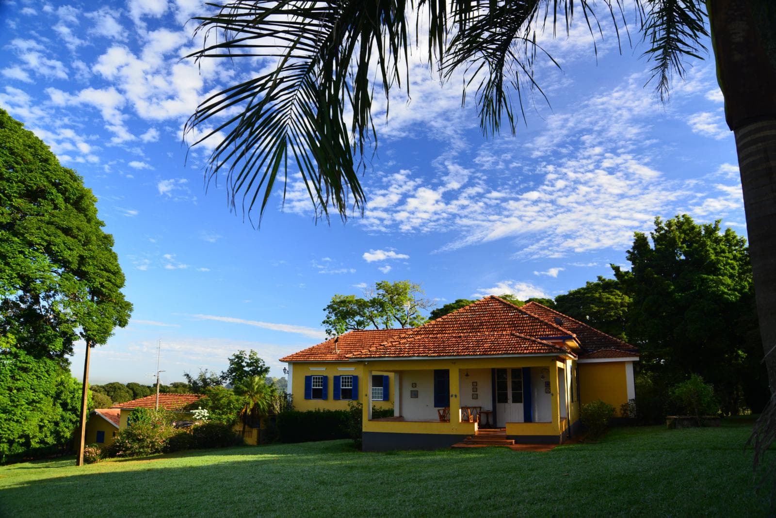 Rebanho da Fazenda São Luiz