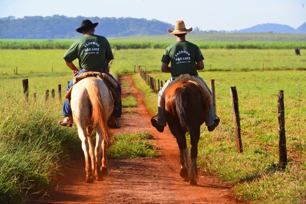 Funcionários da Fazenda São Luiz