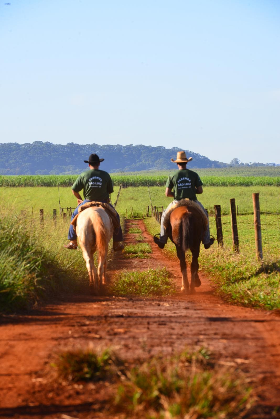Fazenda São Luiz
