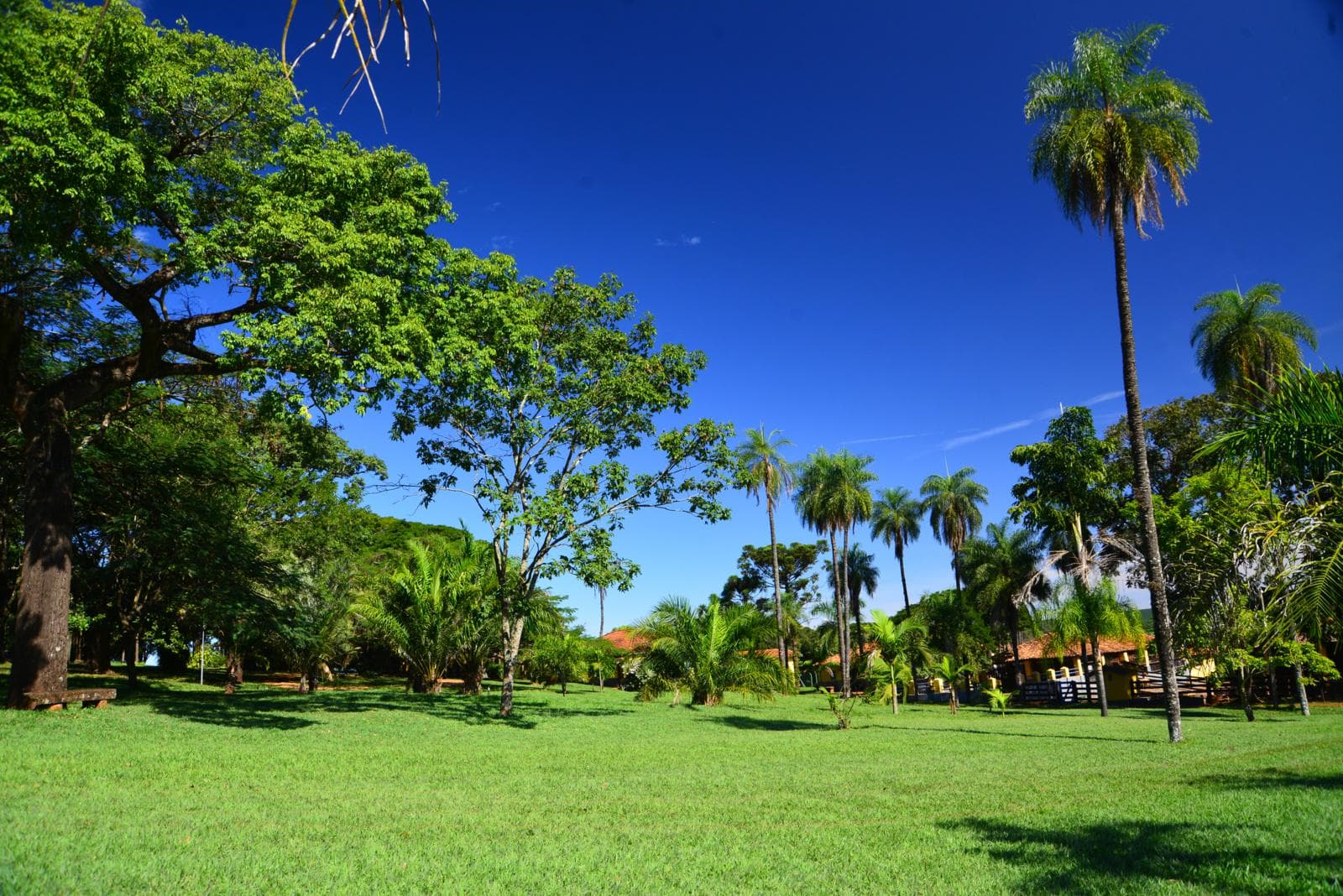 Fazenda São Luiz