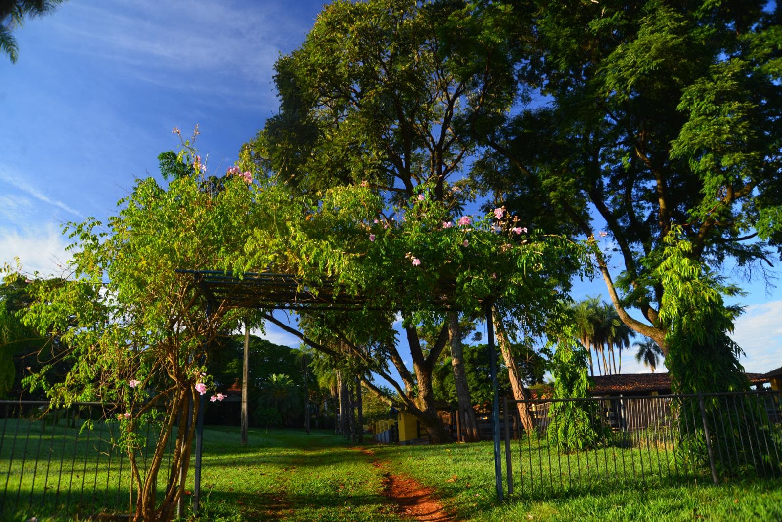 Natureza preservada na Fazenda São Luiz